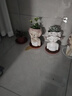 如果（Roogo）客厅干花装饰摆件北欧风室内软装仙女多肉花盆创意小花瓶送礼物女 仙女大花盆-沉思（无花） 27cm 实拍图