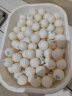 双鱼乒乓球一星 1星训练用球发球机俱乐部多球 展翅V40+兵乓球 白色100个装 实拍图