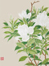 阳光（SUNFLEX） 乒乓球拍清洁剂增粘剂泡沫清洗剂球拍胶皮保养剂乒乓球清洁剂 210ml泡沫款清洁剂四件套 实拍图