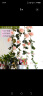 盛世泰堡仿真玫瑰花塑料假花藤绿植绢花吊顶藤蔓餐厅空调管道装饰9头粉2条 晒单实拍图