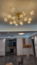 雷士（NVC）客厅吊灯分子灯北欧星光创意几何现代轻奢高显智能WHDD115F/G-01 晒单实拍图