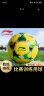李宁足球5号成人儿童中考标准世界杯专业比赛训练青少年学生贴皮足球 晒单实拍图