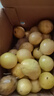 爱鲜摘农场 广西钦蜜9号黄金百香果礼品白香新鲜现摘整箱水果礼盒送礼中秋甜 12A级｜单果90g-110g【甜爆了】 3斤礼箱装【出口级品质】净2.5斤 实拍图