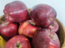 京鲜生 甘肃天水花牛苹果 8.5斤装单果200-250g 生鲜水果 源头直发 包邮 实拍图