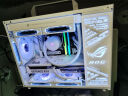 阿斯加特（Asgard）32GB(16GBx2)套装 DDR4 3600 台式机内存 RGB灯条 吹雪联名款 晒单实拍图