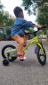 酷骑（COOGHI）小飞侠儿童自行车3-6-8岁男女孩超轻儿童单车自行车14寸 酷骑绿 晒单实拍图