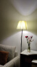 姿灯落地灯客厅沙发旁装饰卧室床头灯具现代简约北欧百褶立式灯具 黑色-12W三色变光 晒单实拍图