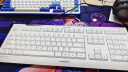 CHERRY 樱桃有线办公键盘台式机笔记本电脑外接商务打字薄膜键鼠套装 KC 1000 键盘【白色】 【低音按键】 实拍图