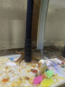 技研精工（JIYJNJINGGONG）鱼缸客厅小型家用带增氧桌面超白玻璃过滤免换水生态懒人鱼缸320 实拍图