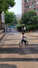 飞鸽（PIGEON）儿童平衡车滑步车男女宝宝滑行车两轮无脚踏车童车自行车14寸银色 实拍图