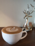 惠家 KD-310咖啡机WPM家用小型意式商用半自动KD-310家用咖啡机车载咖啡机移动咖啡车 310米白色礼包 晒单实拍图