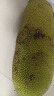 禧友鲜 海南菠萝蜜整个 黄肉干苞 波罗密 大树木菠萝 三亚当季新鲜水果 35-40斤（巨无霸大果分享装） 实拍图