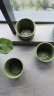 墨斗鱼花盆控根盆2号*3件家用多肉绿萝月季盆栽简约树脂塑料带托盘 实拍图