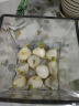 耘淘郁金香种球水培5度球花卉绿植种子土培植物水养盆栽室内室外耐寒 高贵黄 闪亮5球+2包肥料 实拍图