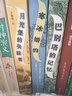 穿镜人：月光堡的失踪者 奇幻魔法小说 四五六年级初中小学生课外阅读书籍 经典儿童图书获年度大奖 10-14岁  实拍图