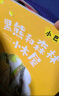 班班共读一年级小巴掌童话黑熊和森林小木屋安徽少年儿童出版社小老鼠稀里哗啦桥梁注音版春风文艺出版社大头儿子和小头爸爸玩具医院注音美绘版长江少年儿童出版社核桃山桥梁注音版春风文艺出版社父与子精编彩图系列  实拍图