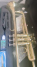 塞德森（SAIDESEN） 降B调小号乐器初学专业演奏 蒙乃尔活塞号 学生成人西洋管乐 金色版STR-100 实拍图