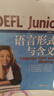 新东方 TOEFL Junior语言形式与含义 提供大量针对性练习及模拟试题 实拍图