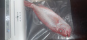 三四钢真空封口机家用全自动食品保鲜抽真空机配密封塑封袋 白色：豪华礼包5件套 实拍图