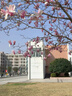 宇极被子被芯+四件套+枕芯被褥套装学生宿舍单双人床上用品全套一整套 晚安 单人宿舍被芯1.5*2.0 5斤七件套 实拍图