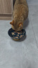 珍致猫罐头白金罐80g*24罐 混合口味成猫幼猫湿粮猫零食礼盒装 实拍图
