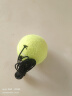 Boelter 网球训练器单人打带线绳网球回弹训练神器带线回弹网球拍练习器 2个带线网球(另带1根弹力绳） 实拍图
