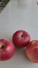 好乐果红富士苹果今年新苹果 嘎啦果脆甜鲜苹果新鲜水果生鲜小苹果年货 5斤优选 晒单实拍图