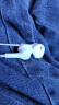 魅蓝魅族lifeme 有线耳机type-c接口 半入耳式音乐耳机 线控带麦 防缠绕设计 适用华为小米苹果15手机 实拍图
