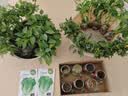 德沃多缓释尿素5kg园艺绿植养花肥料缓释肥花卉盆栽种植氮磷钾肥 实拍图