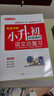 小学语文升学总复习全解知识大盘点 小升初小学生必刷题大全大集结六年级毕业衔接教材模拟真题训练 实拍图