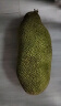 【需催熟】海南黄肉菠萝蜜一整个 热带新鲜水果波罗蜜生鲜 单个30-35斤 晒单实拍图