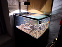德克（D&A）溪流缸全套一体缸自循环 2025新款客厅立式鱼缸 创意造景底滤鱼缸 爵士黑（筒灯款） 长80cm宽50cm高125cm 实拍图