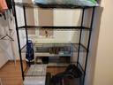 川井置物架家用货架五层大容量储物架落地多功能杂物架车库阳台铁架子 实拍图