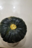 家美舒达山东 贝贝南瓜 约1.5kg 板栗小南瓜 新鲜蔬菜 实拍图