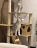 CHONLDERL猫爬架猫窝猫树一体大型太空舱通天柱猫架剑麻玩具猫抓板猫咪用品 【8层太空舱】猫乐园ML-2 实拍图