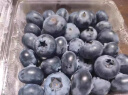 京鲜生 国产蓝莓 6盒装 果径18mm+ 新鲜水果 源头直发包邮 实拍图