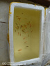卡奇鱼 斑马鱼 淡水鱼 观赏鱼 小型观赏鱼 热带鱼 蝶翼斑马荧光好养易活 糖果斑马30条1.5-2.5cm最少5色 实拍图