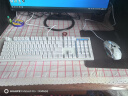 MageGee 机械风暴套装 真机械键盘鼠标套装 机械键鼠套装 背光游戏台式电脑笔记本键鼠套装 白色蓝光 青轴 实拍图