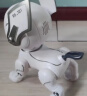 智汇六一儿童节礼物61智能机器狗儿童玩具男孩一岁1宝宝周岁生日礼物 实拍图