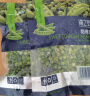 浦之灵 甜青豆 350g/袋 小豌豆粒 轻食代餐沙拉 冷冻预制蔬菜 实拍图
