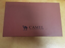 骆驼（CAMEL）男鞋商务休闲低帮套脚办公爸爸皮鞋 A132287560-1  黑色 40 实拍图