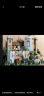 乐高（LEGO） 创意百变高手粉丝收藏拼搭玩具生日礼物 10305 雄狮骑士的城堡 晒单实拍图