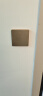 正泰(CHNT)开关插座墙壁面板家用86型面板二联双控开关NEW6C香槟金 晒单实拍图