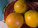 俏背篓 秭归中华红血橙薄皮多汁味甜现摘新鲜水果当季橙子爆汁 5斤中大果 实拍图