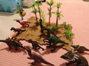 勾勾手 儿童玩具恐龙玩具仿真模型男孩霸王龙野生动物套装12只装+32场景 实拍图