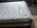 斯兰帝梦 床垫 棕垫 天然椰棕1.8m1.5米软硬棕榈折叠家用乳胶席梦思床垫 竹炭长绒棉11cm折叠款竹炭棕 1.8米*2米 实拍图