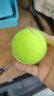 Boelter 网球训练器单人打带线绳网球回弹训练神器带线回弹网球拍练习器 网球训练器 + 3个带线网球 实拍图