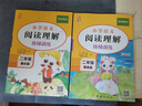 二年级阅读理解专项训练书人教版（全两册）适用于2年上下册衔接练习黄冈语文名师编写 实拍图
