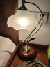 梵帝莱（FANDILAI）书房台灯卧室床头灯美式简约书桌护眼LED台灯创意时尚温馨装饰灯 创意台灯 按钮开关 +5WLED灯泡 实拍图