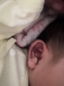 凯尔金 宝宝耳朵矫正器 新生的儿 耳廓矫正器 婴儿招风耳垂耳隐耳矫形器 右耳矫正器 晒单实拍图
